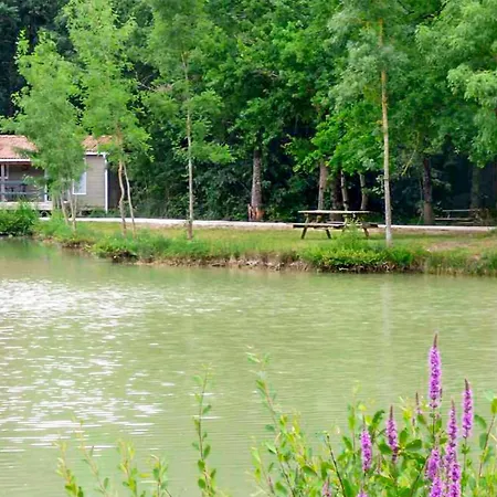 Camping Awesome Stacaravan In *